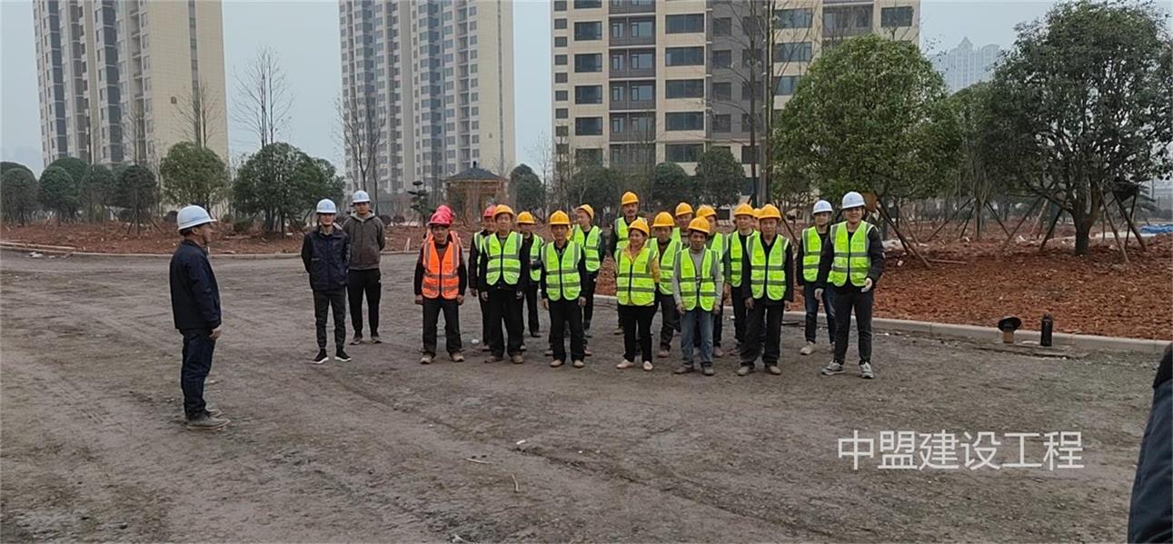 美丽潇湘住宅小区项目工程—园林绿化及铺装工程